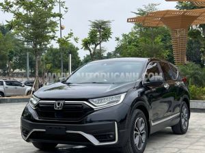 Xe Honda CRV G 2022