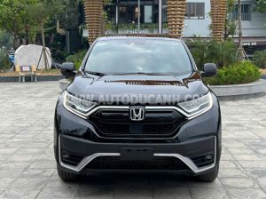 Xe Honda CRV G 2022